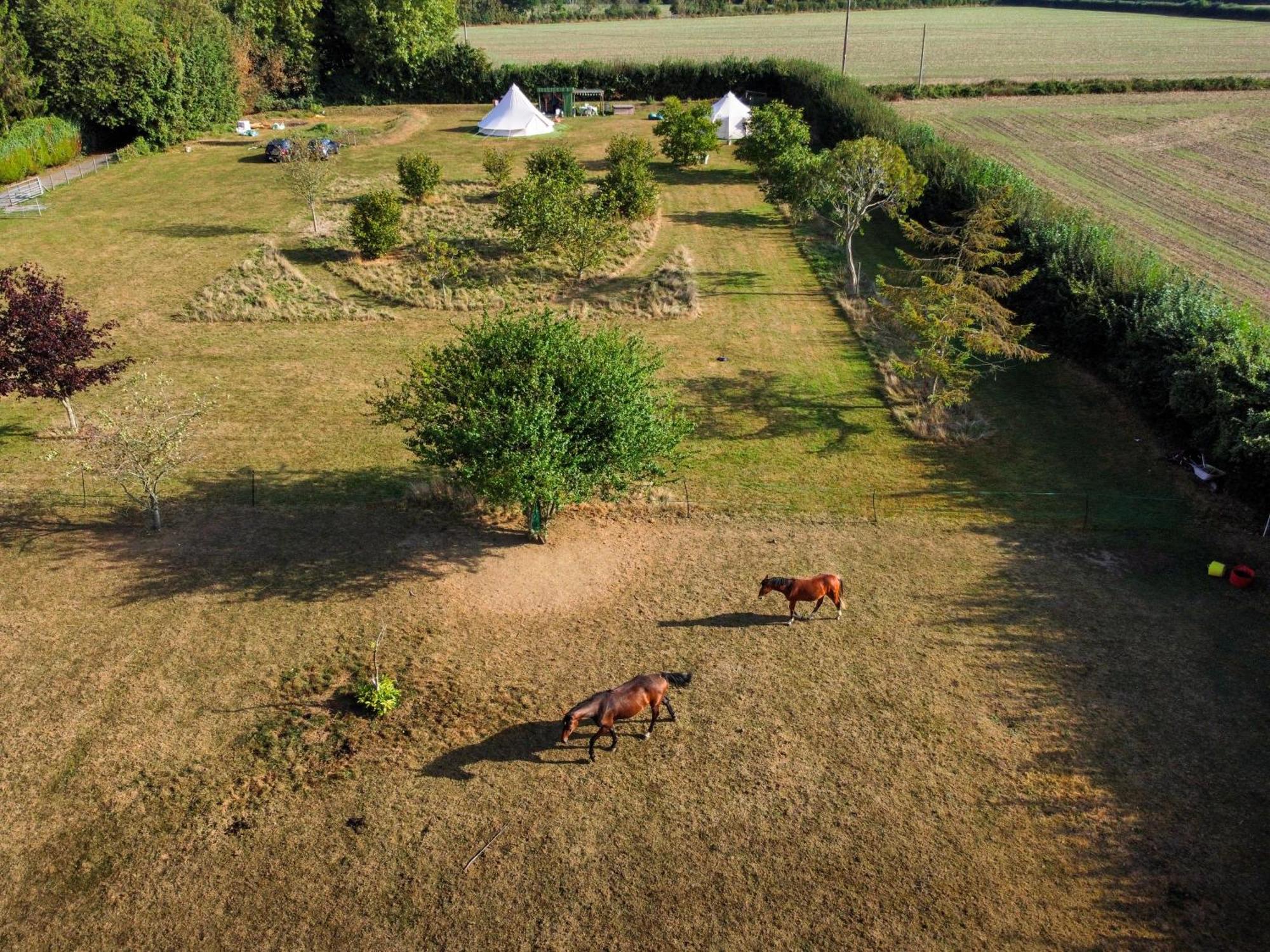 The Follies Glamping Hotel Maidstone Buitenkant foto